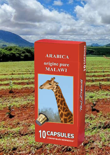 10 Capsules Arabica pur Malawi