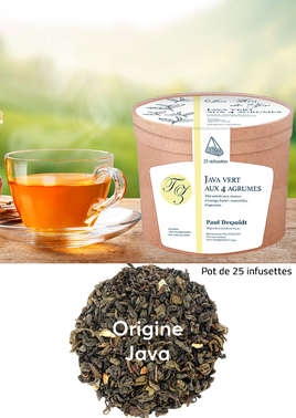 Thé vert aux 4 agrumes 25 infusettes