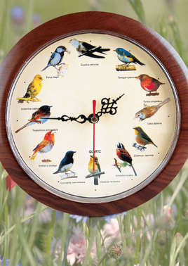 Horloge sonore "12 chants d'oiseaux"