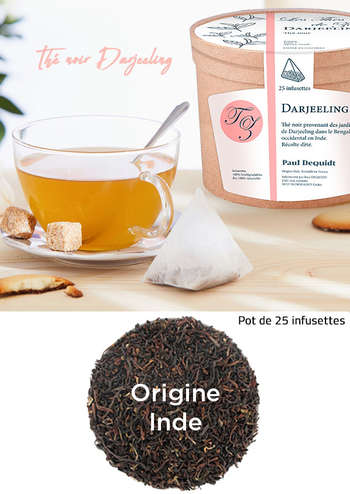 thé noir Darjeeling 25 infusettes