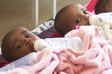 Bébés orphelins